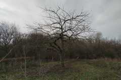 schnitt9-2