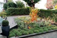 Umgestalteter-Vorgarten-2