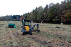streuobst1