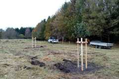 streuobst2