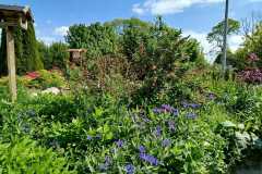 Wildgarten1