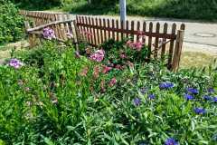 Wildgarten3