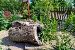 Wildgarten5