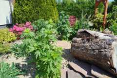 Wildgarten7